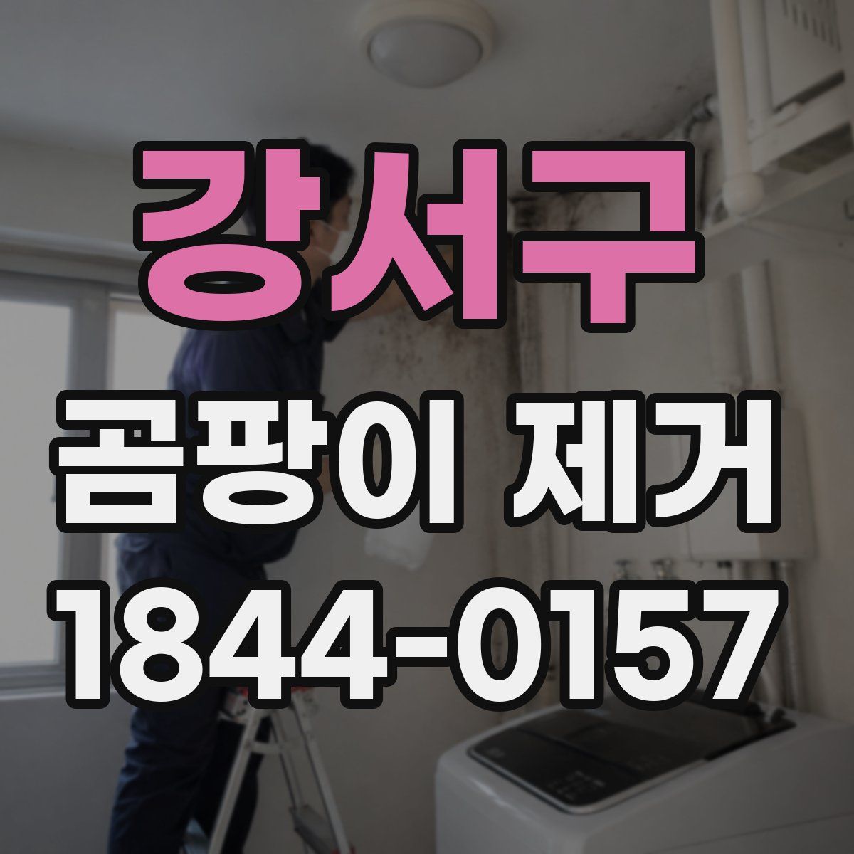 강서구 곰팡이 제거