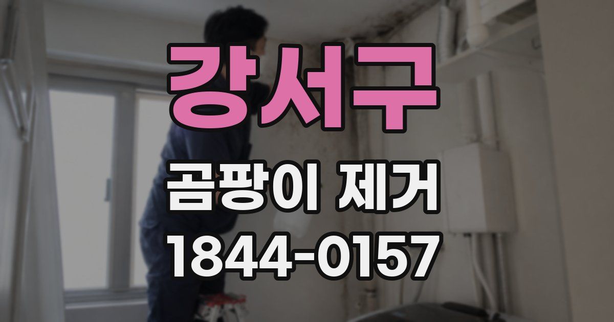 강서구 곰팡이 제거
