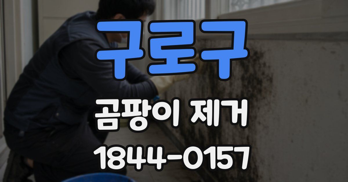 구로구 곰팡이 제거