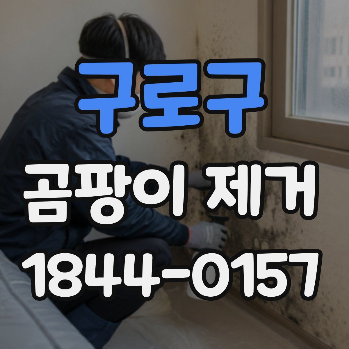 구로구 곰팡이 제거