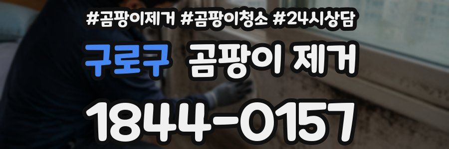 구로구 곰팡이 제거