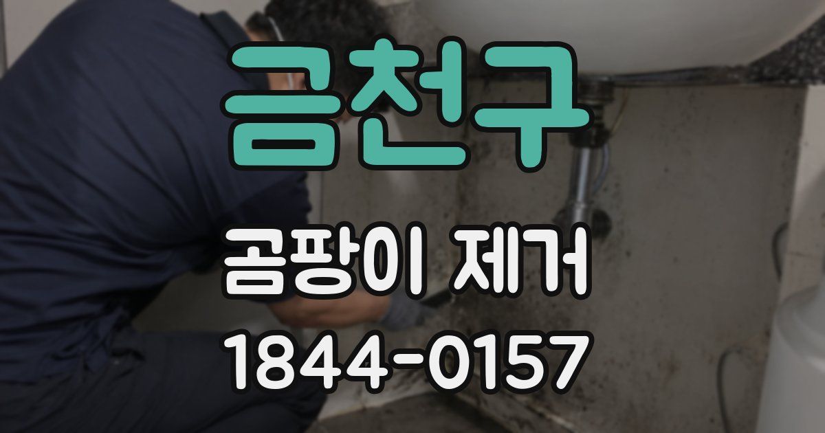 금천구 곰팡이 제거
