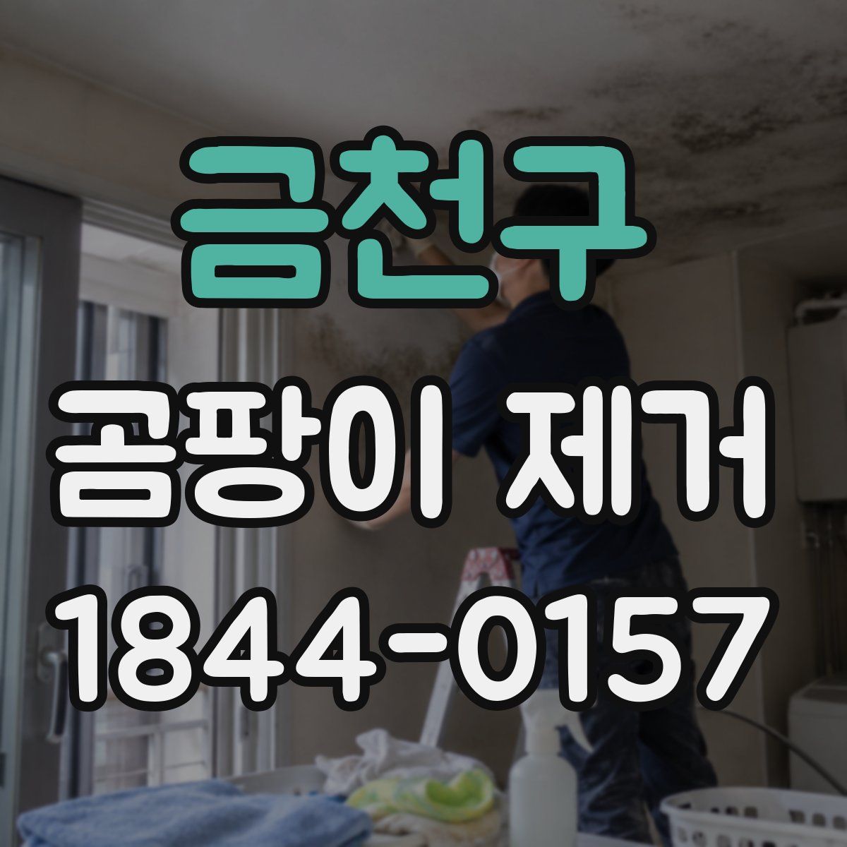 금천구 곰팡이 제거
