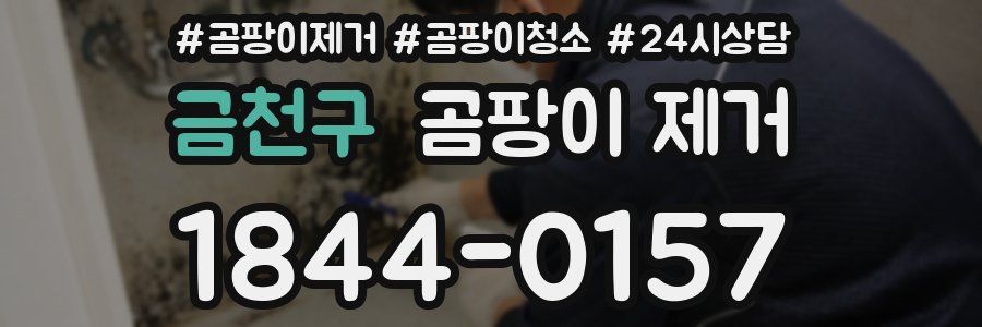 금천구 곰팡이 제거