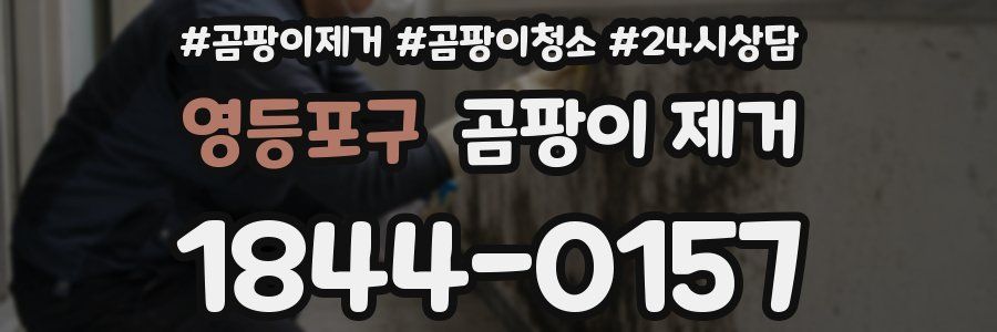 영등포구 곰팡이 제거