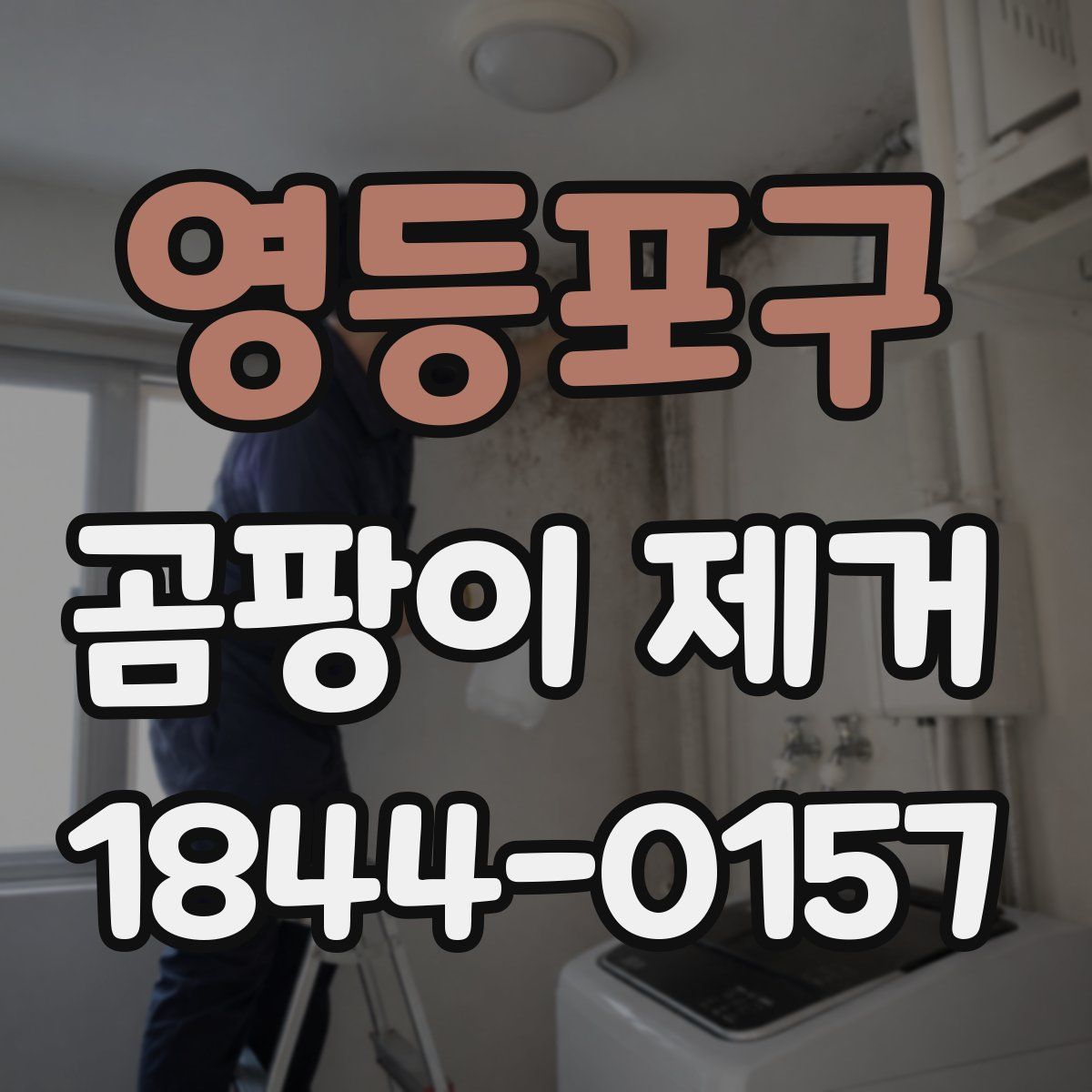 영등포구 곰팡이 제거