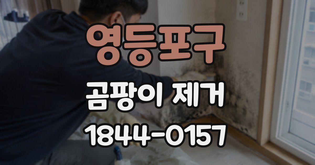 영등포구 곰팡이 제거