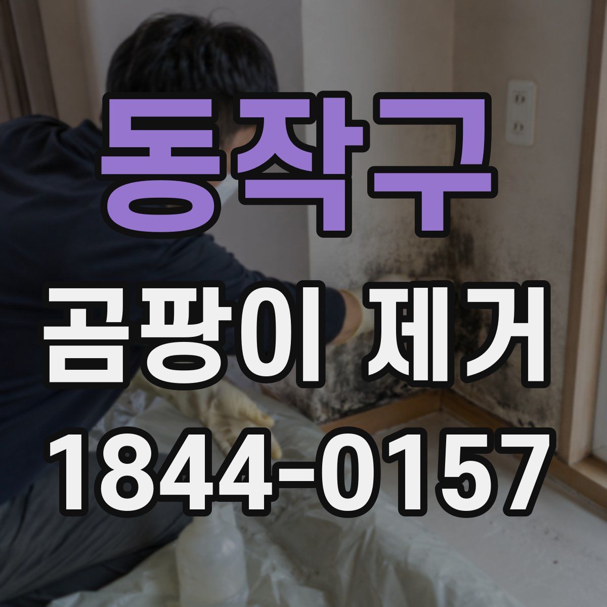 동작구 곰팡이 제거