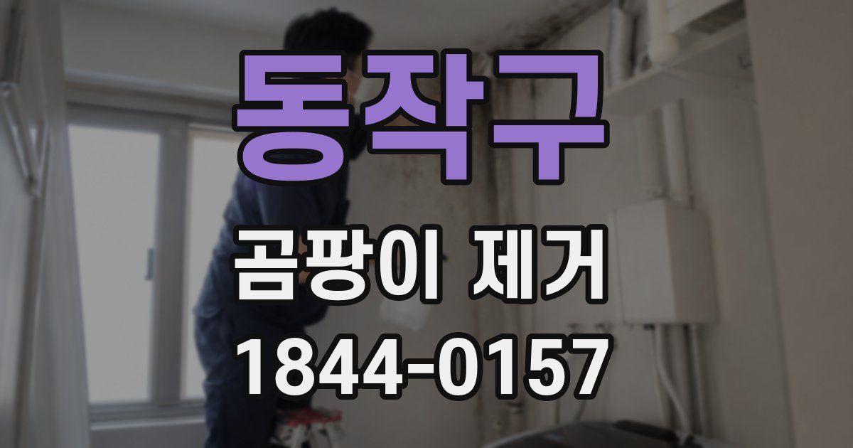 동작구 곰팡이 제거