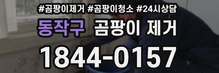 동작구 곰팡이 제거
