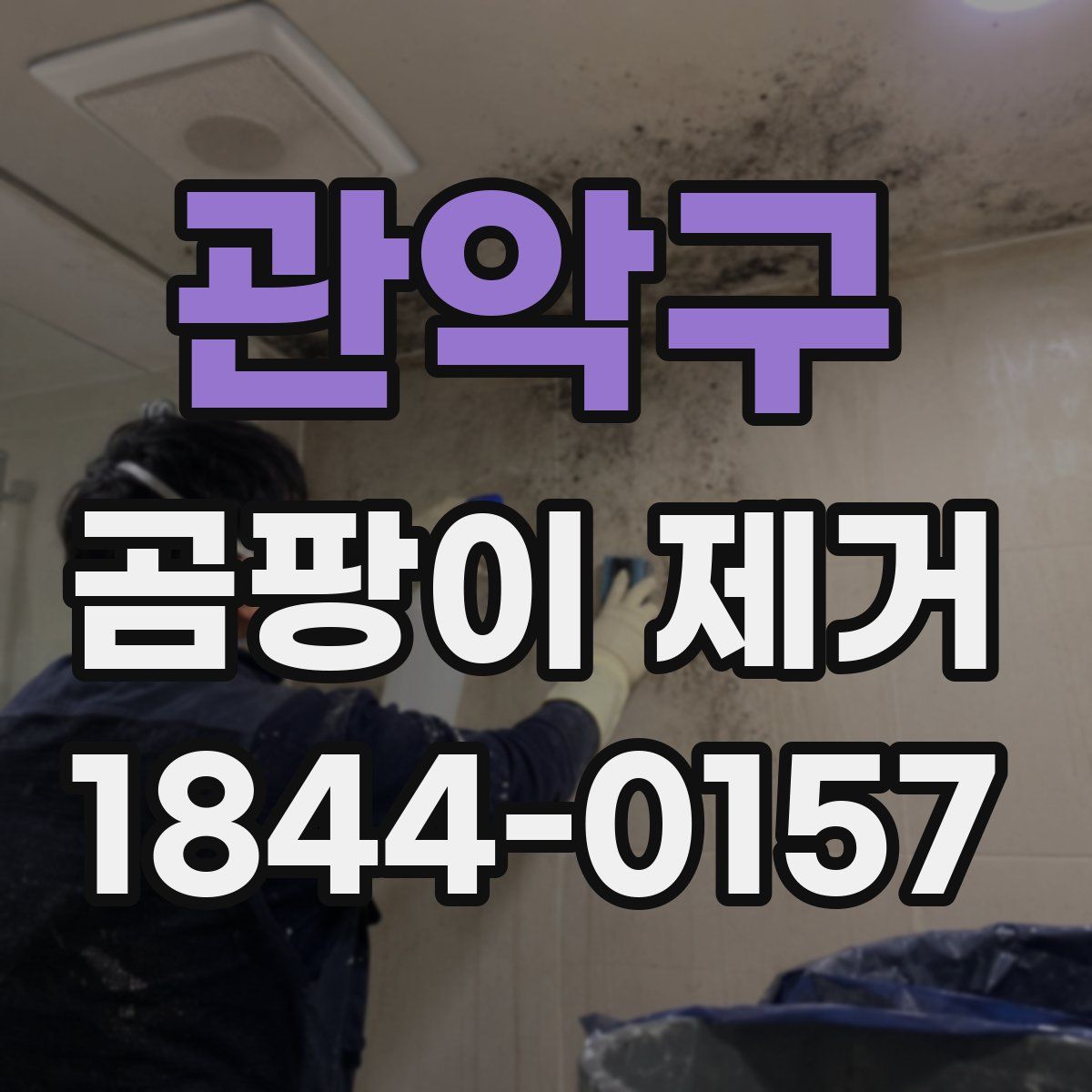 관악구 곰팡이 제거