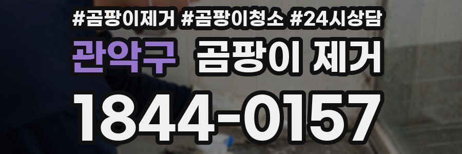 관악구 곰팡이 제거