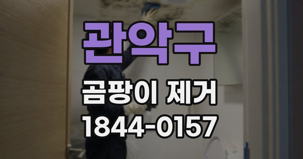 관악구 곰팡이 제거