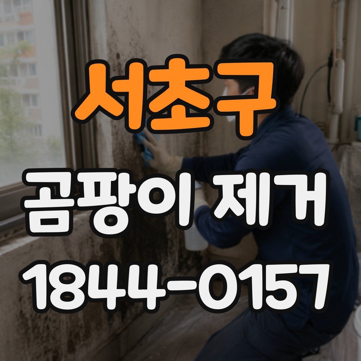 서초구 곰팡이 제거 계절별로 달라지는 발생 위치 살피기