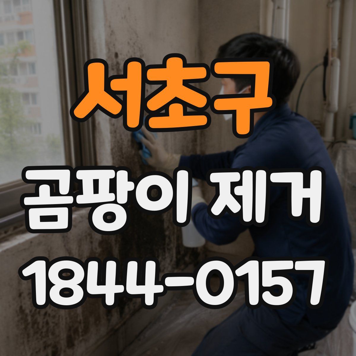 서초구 곰팡이 제거