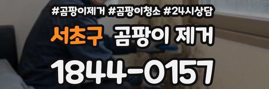서초구 곰팡이 제거