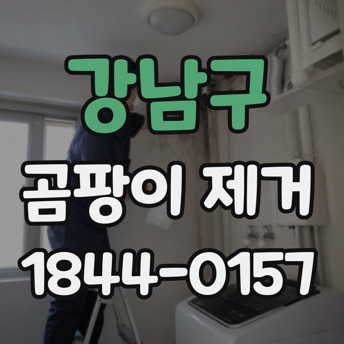 강남구 곰팡이 제거