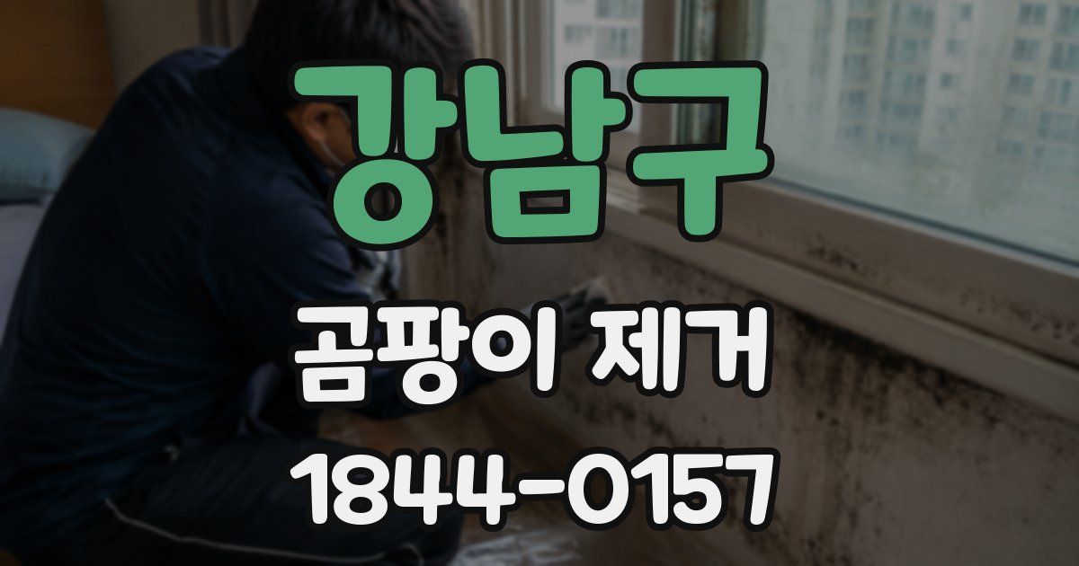 강남구 곰팡이 제거