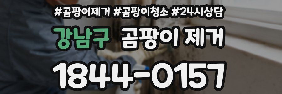 강남구 곰팡이 제거