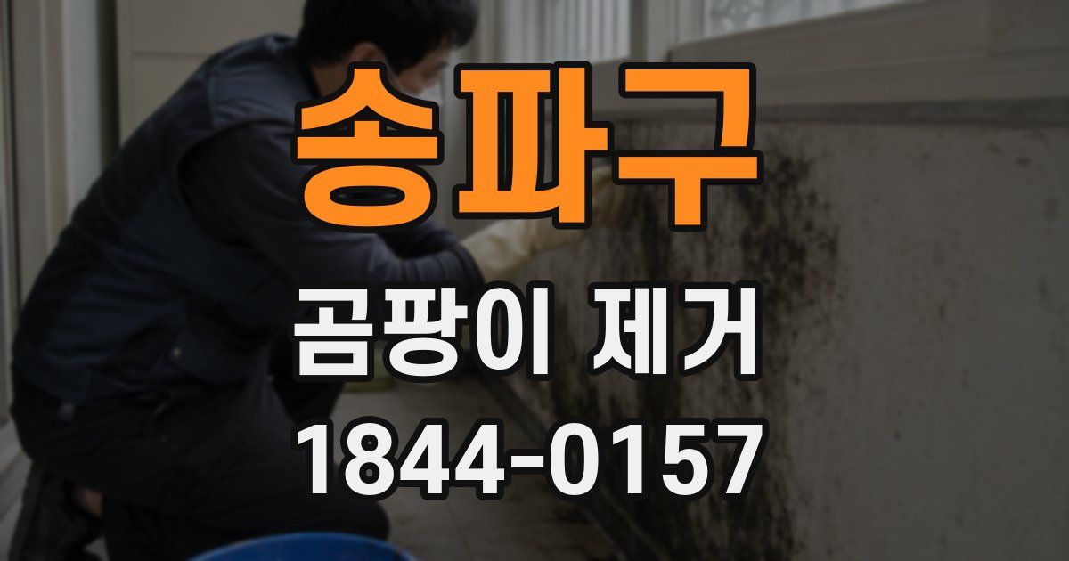 송파구 곰팡이 제거