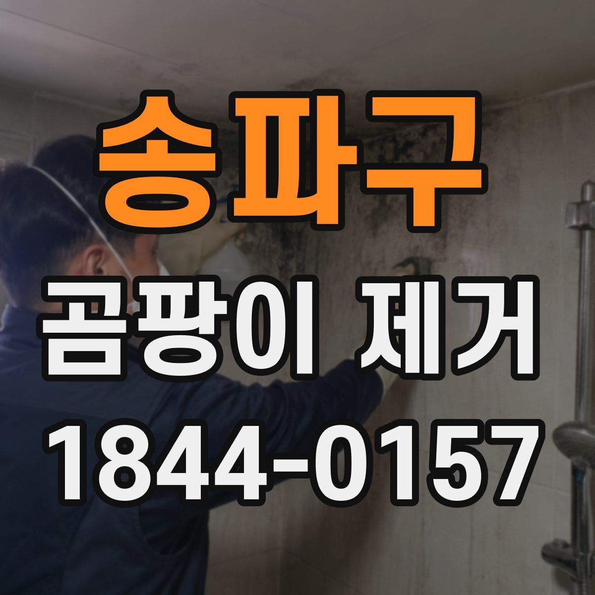 송파구 곰팡이 제거