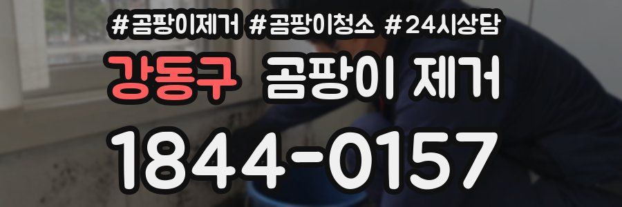 강동구 곰팡이 제거