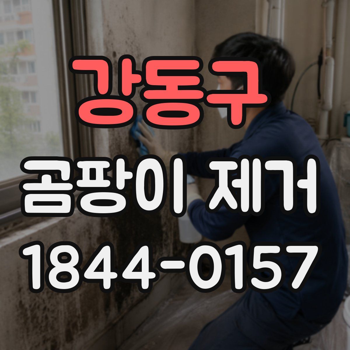 강동구 곰팡이 제거