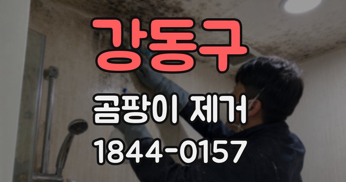 강동구 곰팡이 제거