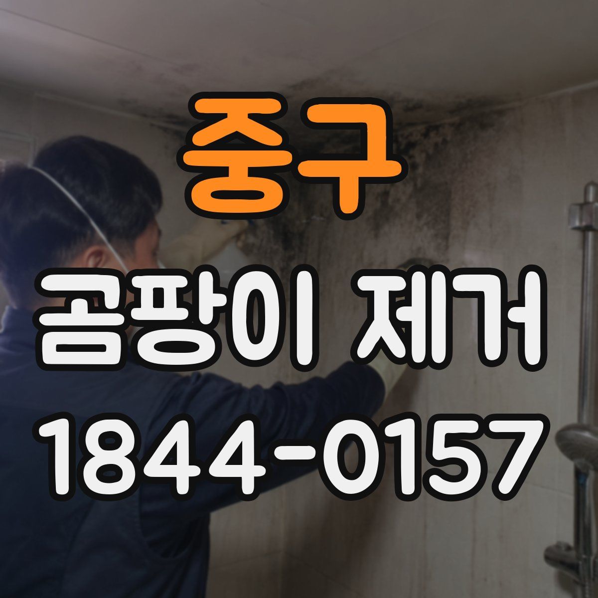중구 곰팡이 제거