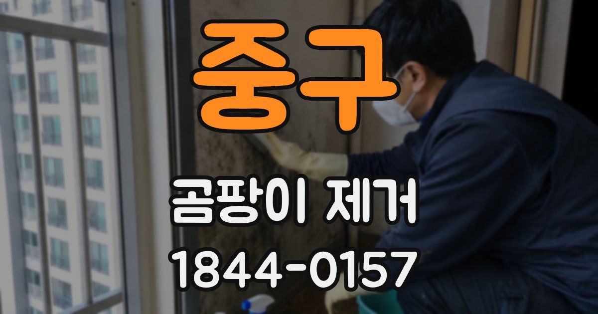 중구 곰팡이 제거