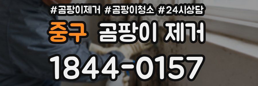 중구 곰팡이 제거