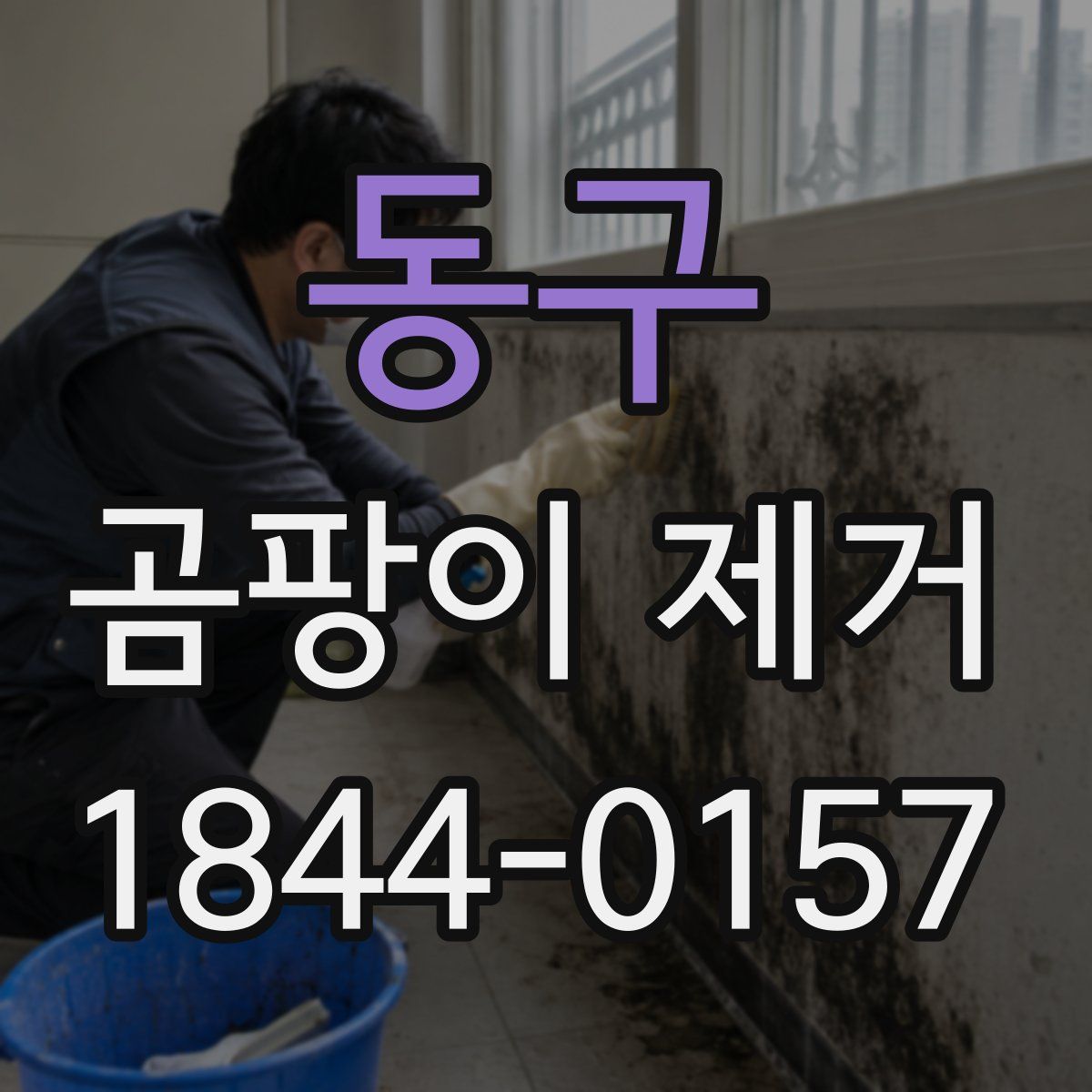동구 곰팡이 제거