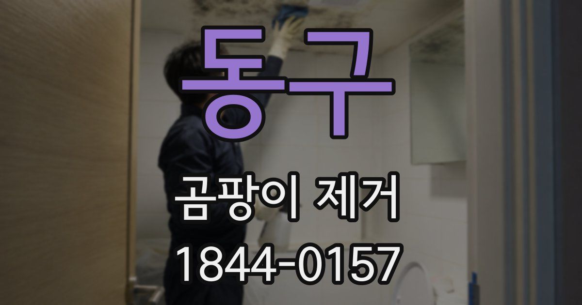 동구 곰팡이 제거