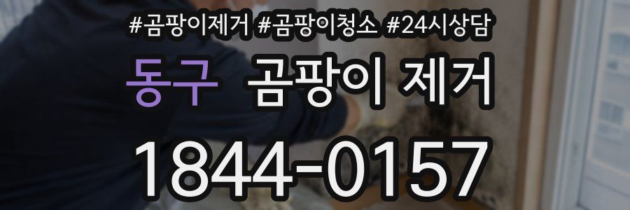 동구 곰팡이 제거