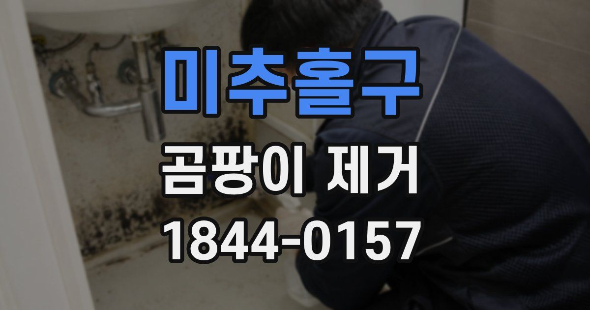 미추홀구 곰팡이 제거