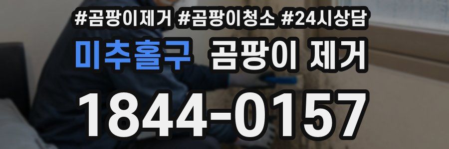 미추홀구 곰팡이 제거