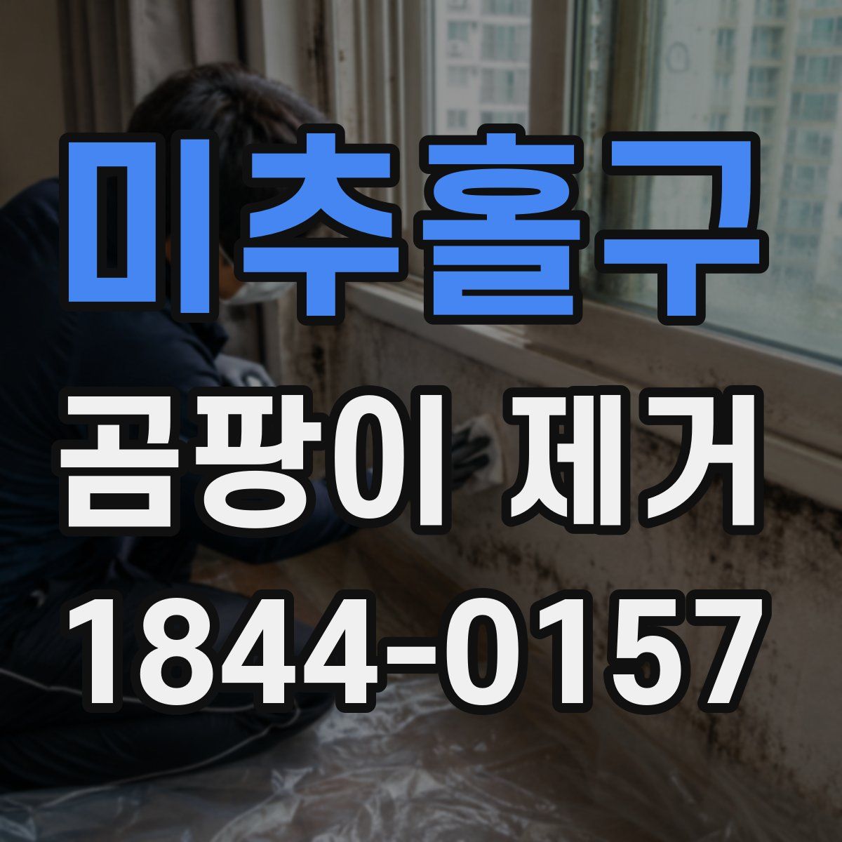 미추홀구 곰팡이 제거