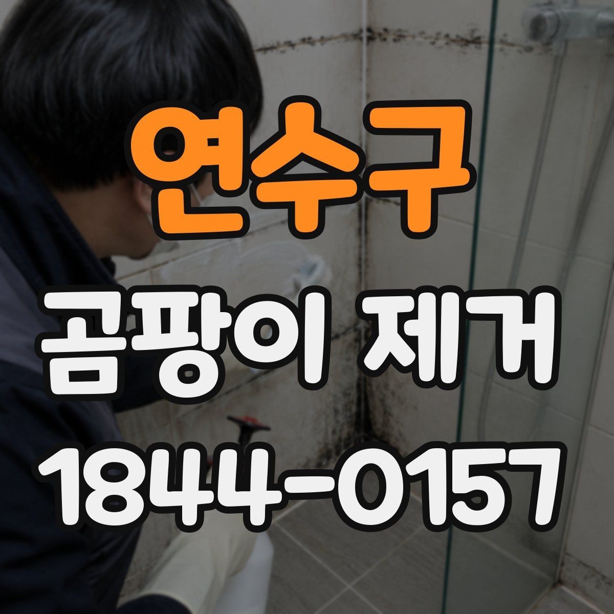 연수구 곰팡이 제거 마감재별로 달라지는 안전한 처리 방법