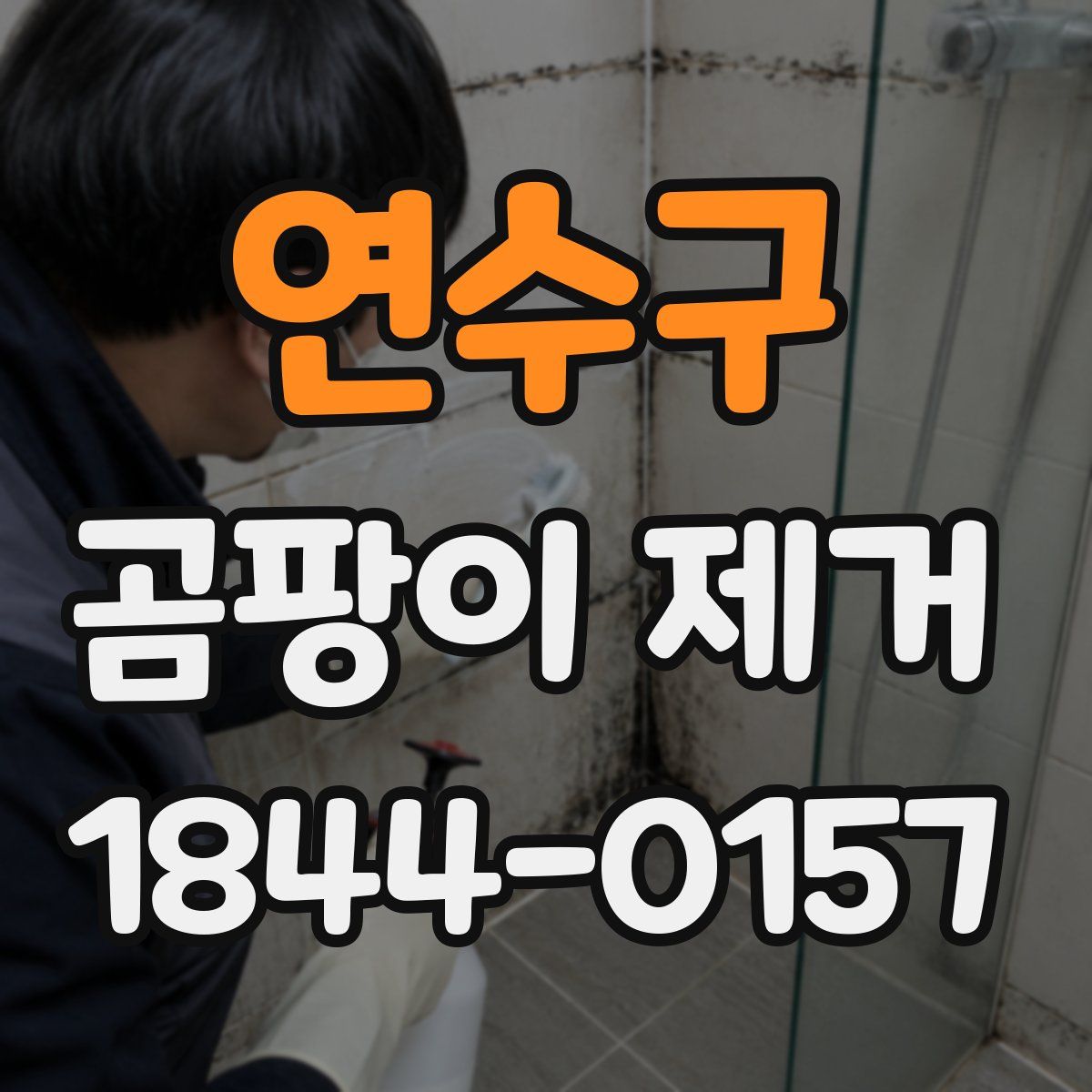 연수구 곰팡이 제거