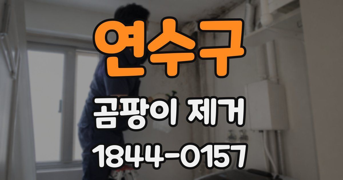 연수구 곰팡이 제거