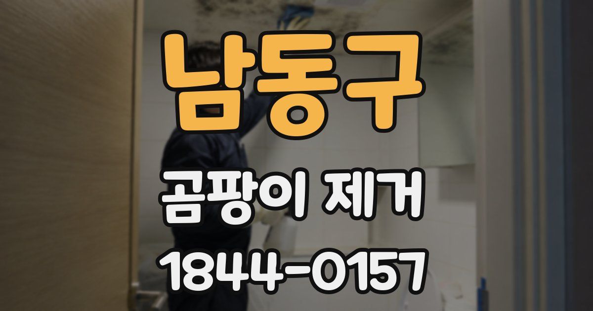 남동구 곰팡이 제거