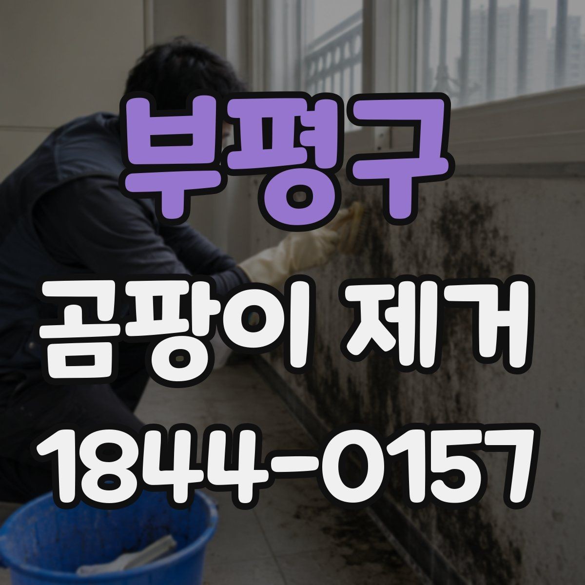 부평구 곰팡이 제거 벽지 손상 줄이려면 어떤 점을 봐야 할까