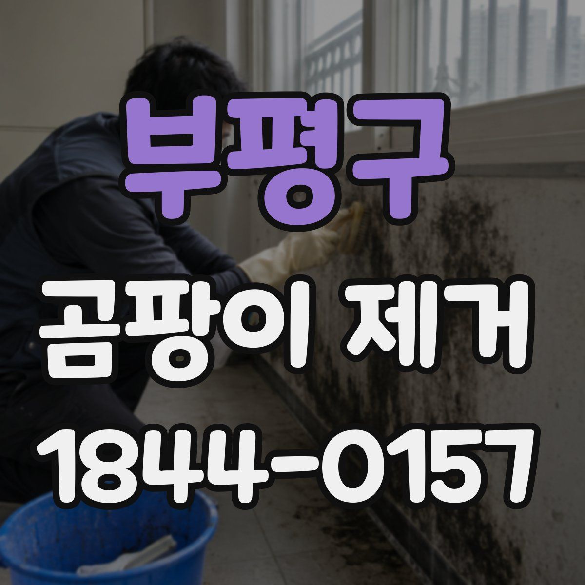 부평구 곰팡이 제거