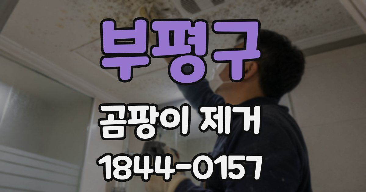 부평구 곰팡이 제거