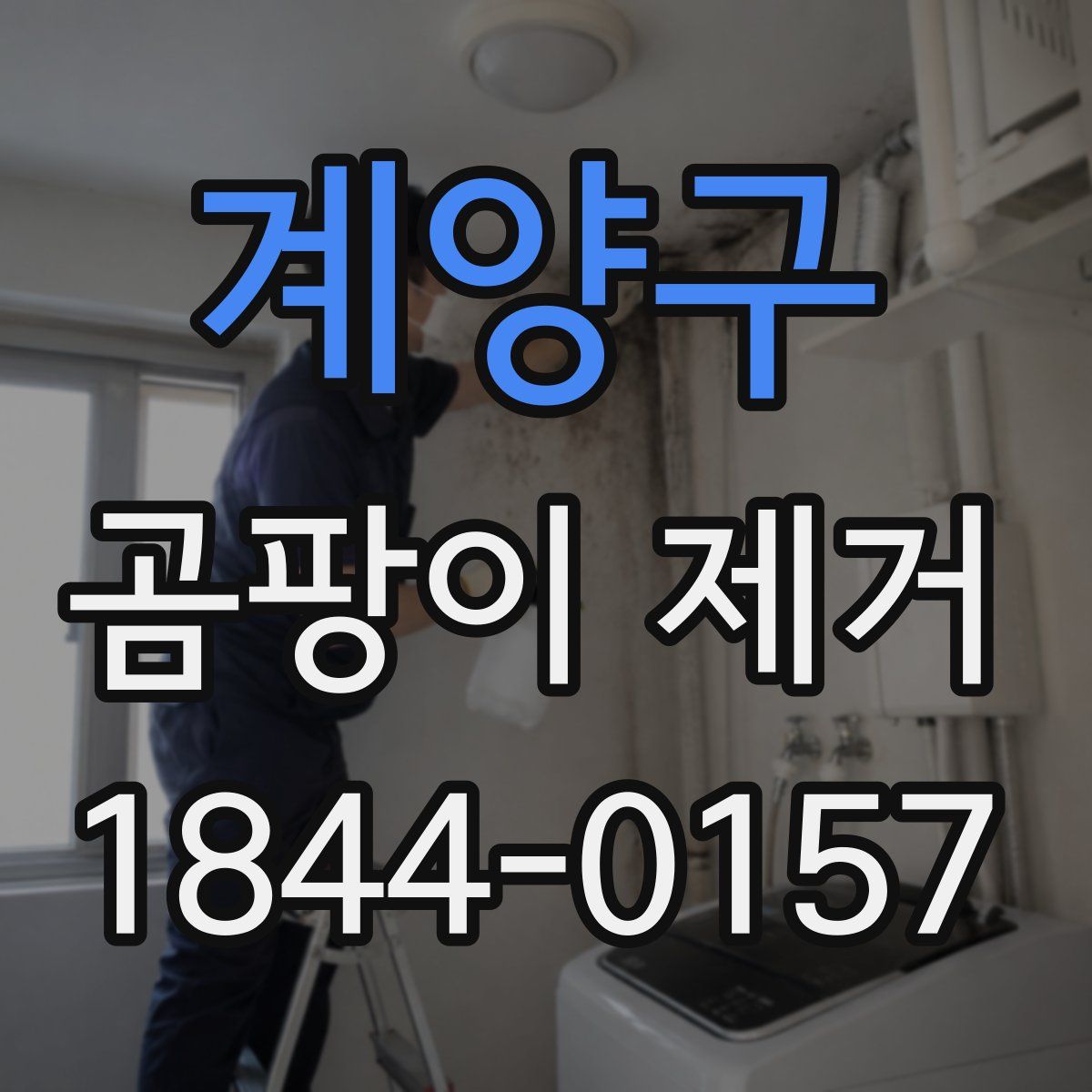 계양구 곰팡이 제거