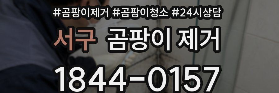 서구 곰팡이 제거