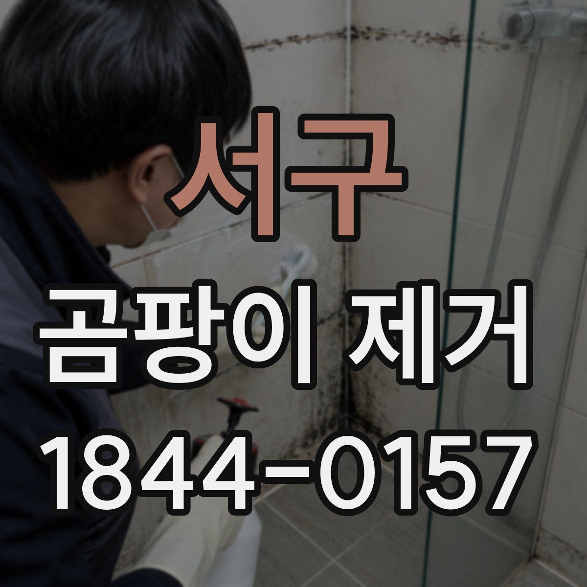 서구 곰팡이 제거
