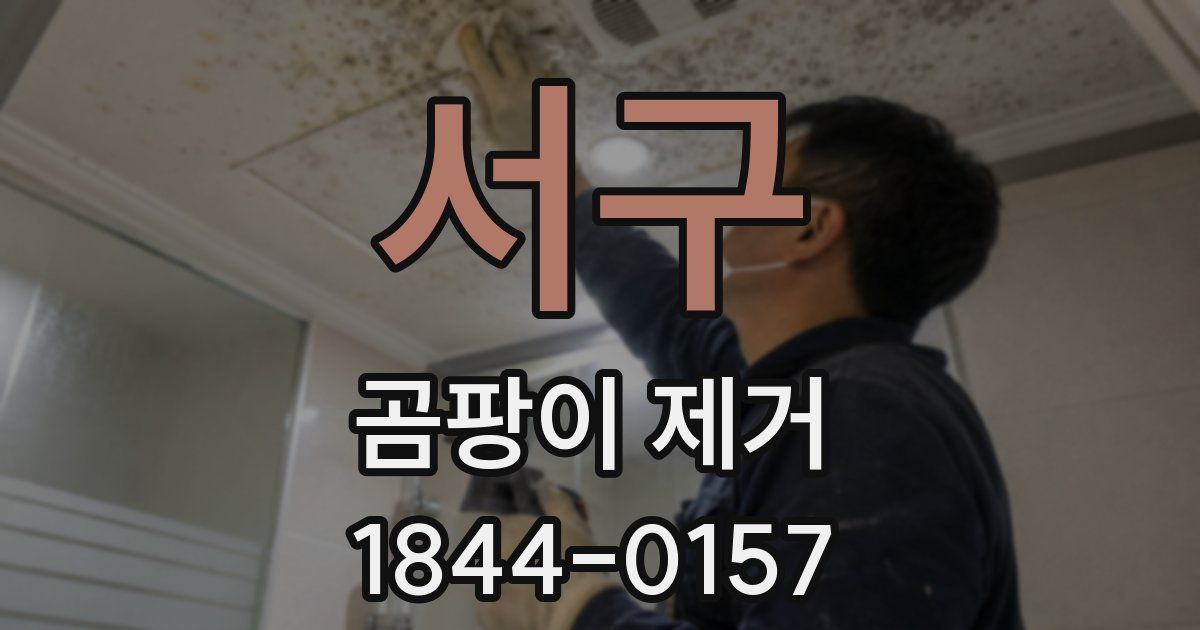 서구 곰팡이 제거