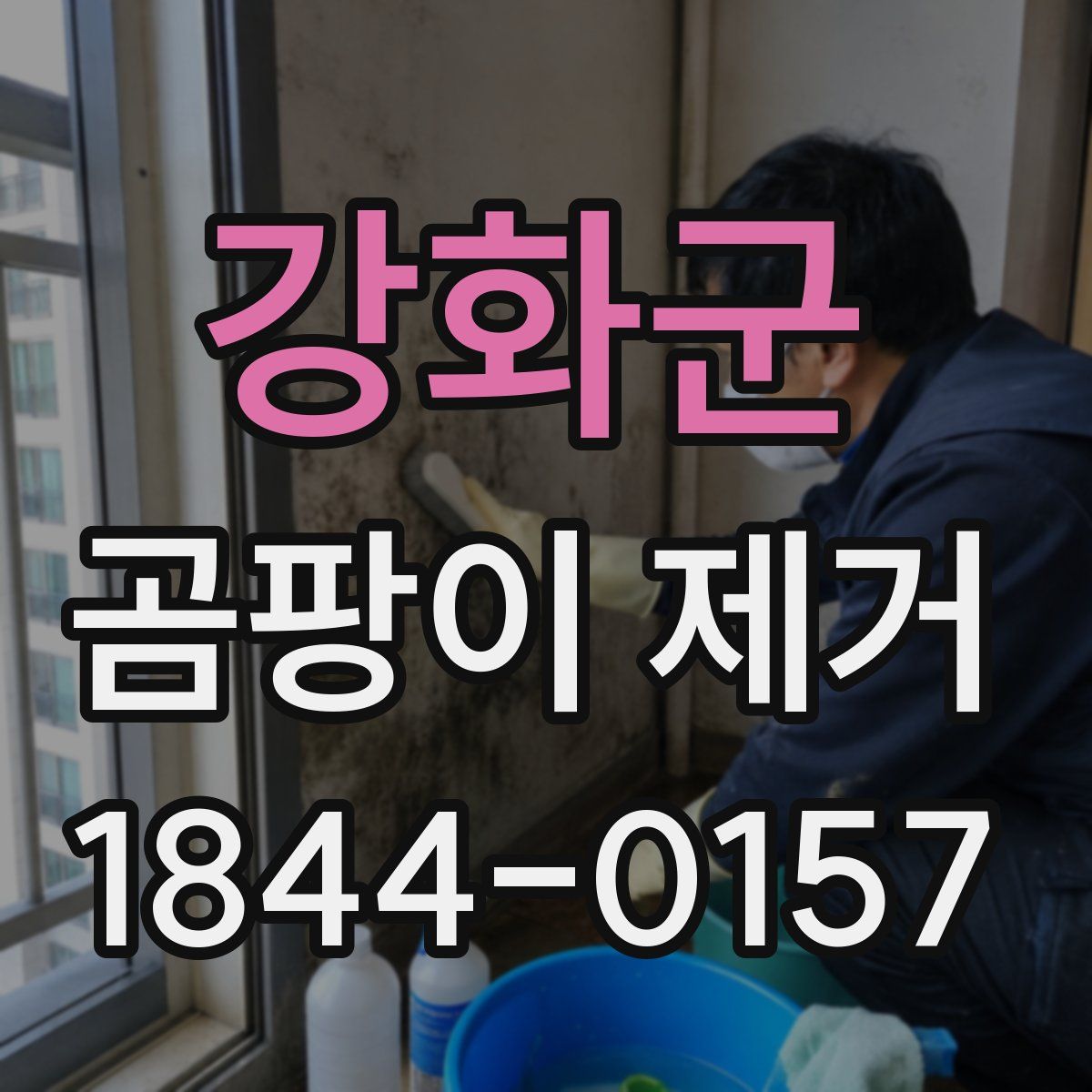 강화군 곰팡이 제거