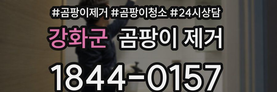 강화군 곰팡이 제거